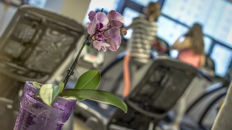 Egurrola Fitness Club - Warszawa