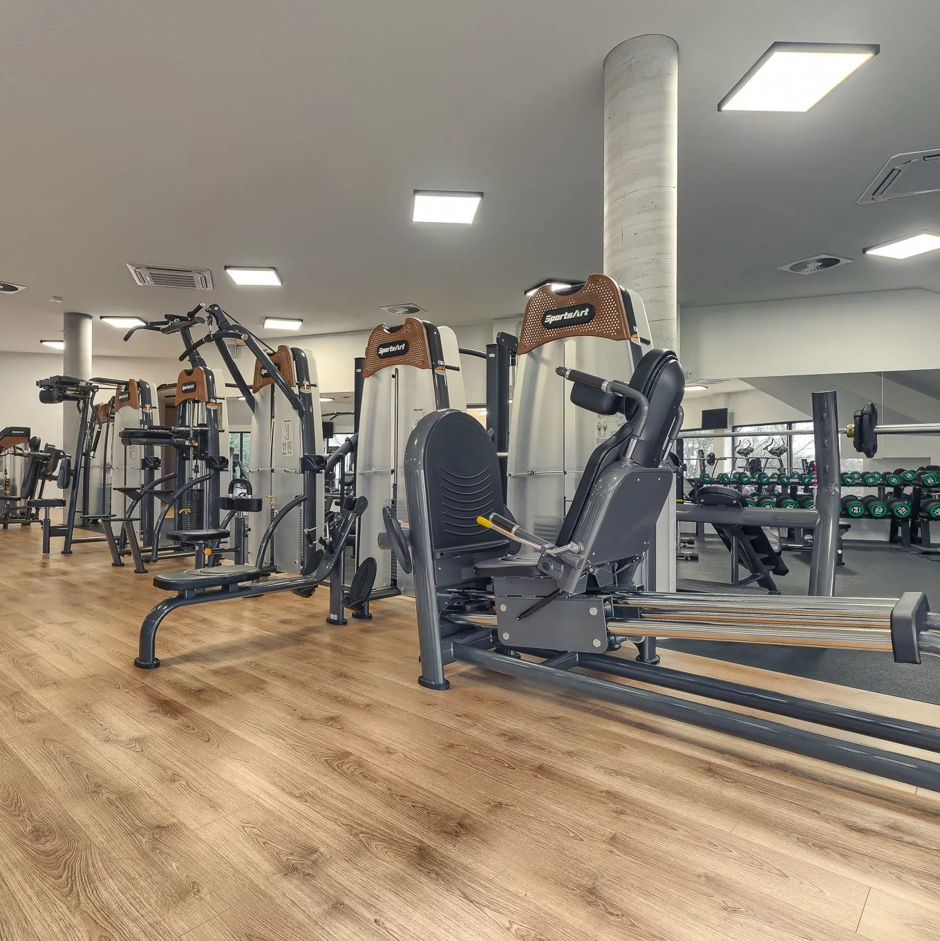 My Way Fitness - Szczecin