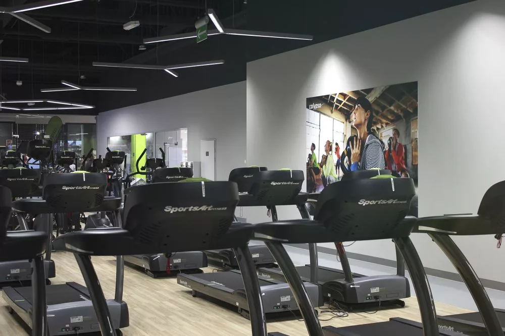 Calypso Fitness - Piła