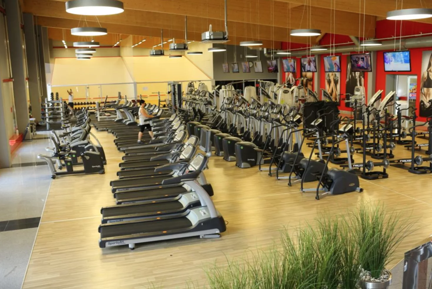 Calypso Fitness - Częstochowa