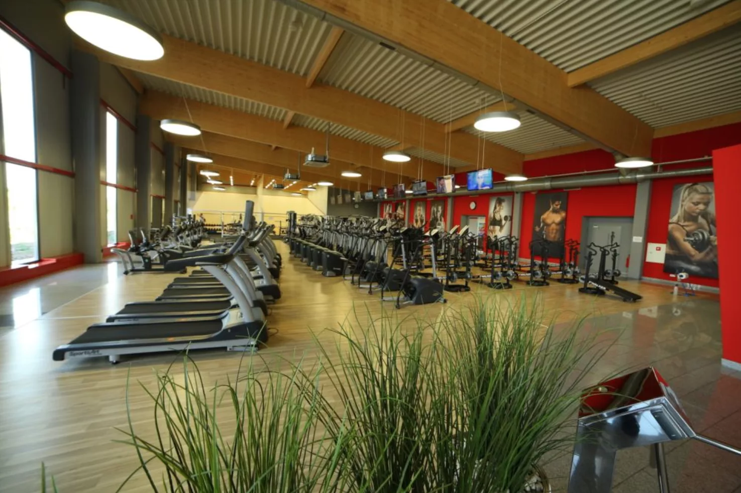 Calypso Fitness - Częstochowa