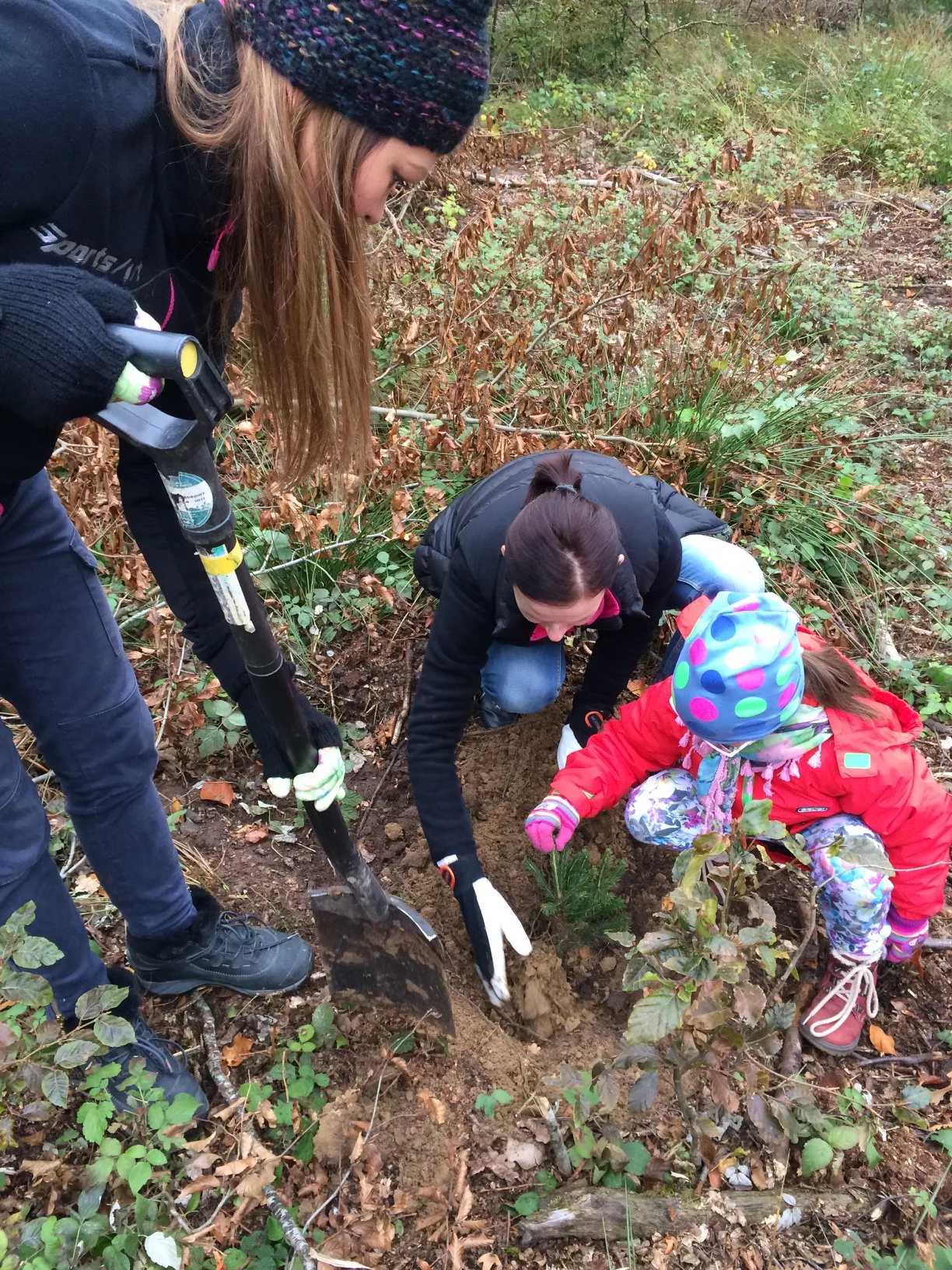 Akcja Eco-Powr™ sadzenie drzew