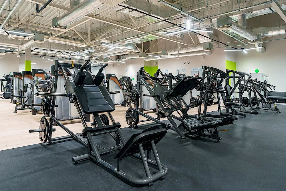 Maszyny na siłownię – poznaj podstawowy podział sprzętu do treningu