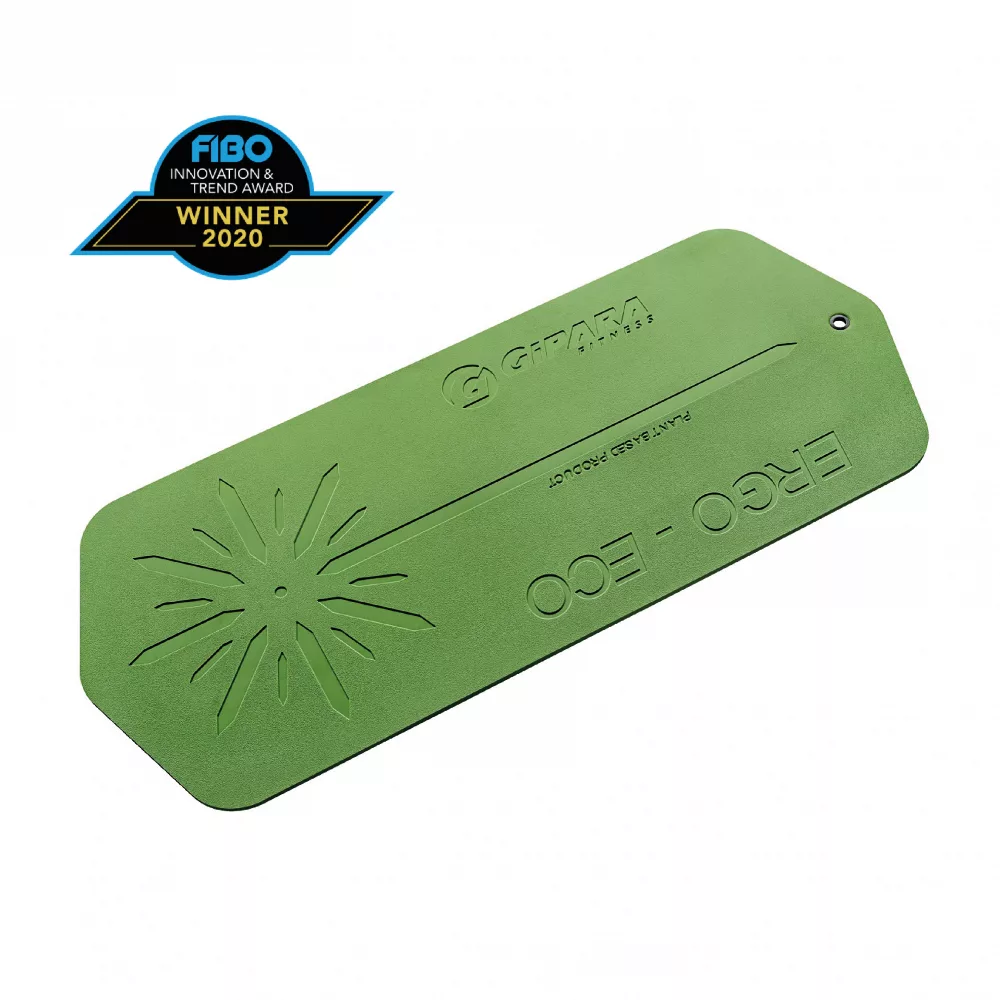 Ergo Eco