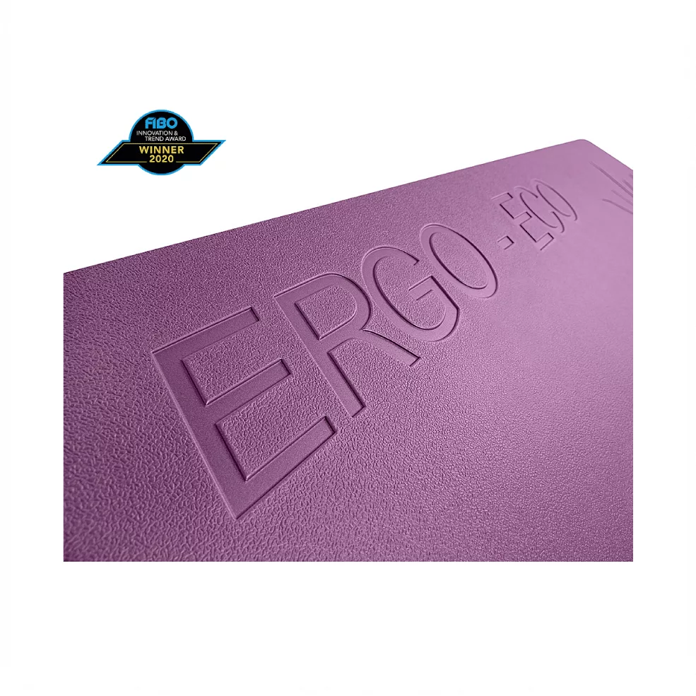 Ergo Eco