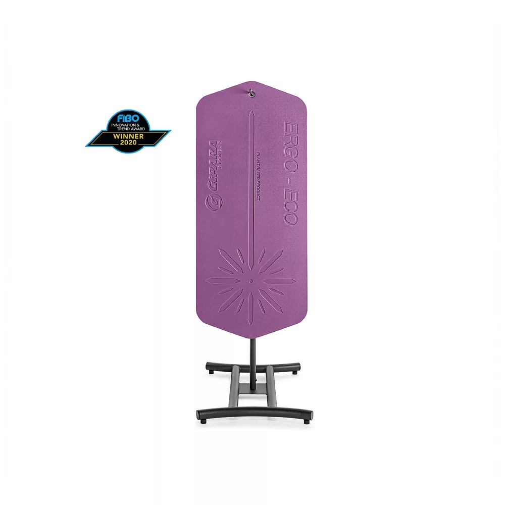 Ergo Eco